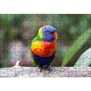 Cakapuzzle Gökkuşağı Lorikeet Papağanı 120 Parça Ahşap Puzzle