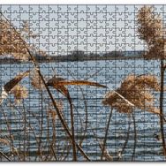 Cakapuzzle Göl Kıyısında Sazlar Mdf 1000 Parça Puzzle