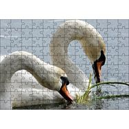 Cakapuzzle Gölde Beslenen Bir Çift Beyaz Kuğu Mdf 120 Parça Puzzle