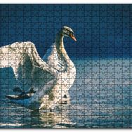 Cakapuzzle Gölde Kanatlarını Çırpan Beyaz Kuğu Mdf 120 Parça Puzzle