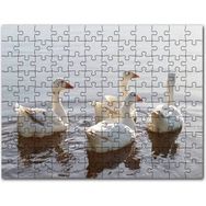 Cakapuzzle Gölde Süzülen Kazlar ve Güneş Işıkları Mdf 1000 Parça Puzzle