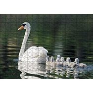 Cakapuzzle Gölde Yüzen Beyaz Kuğu ve Arkasında Yavruları Mdf 255 Parça Puzzle