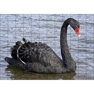 Cakapuzzle Göldeki İhtişamlı Siyah Kuğu 120 Parça Ahşap Puzzle