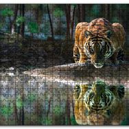 Cakapuzzle Göldeki Kaplan Yansıması Görseli Mdf 120 Parça Puzzle