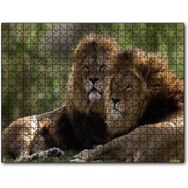 Cakapuzzle Görkemli Erkek Aslanlar Mdf 120 Parça Puzzle