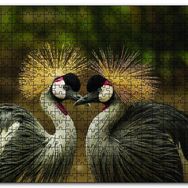 Cakapuzzle Gri Vinç Taç Kuşları Afrika Ahşap 1000 Parça Puzzle