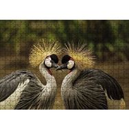 Cakapuzzle Gri Vinç Taç Kuşları Afrika Ahşap 500 Parça Puzzle