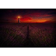 Cakapuzzle Günbatımı Deniz Feneri ve Lavanta Tarlası 120 Parça Ahşap Puzzle