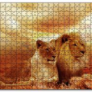 Cakapuzzle Günbatımında Aslan Çifti Mdf 500 Parça Puzzle