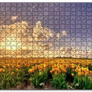 Cakapuzzle Günbatımında Bulutlar ve Sarı Laleler Mdf 120 Parça Puzzle