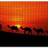 Cakapuzzle Günbatımında Develeri Çeken Adam Mdf 1000 Parça Puzzle