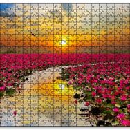 Cakapuzzle Günbatımında Gölde Pembe Çiçekler Mdf 120 Parça Puzzle