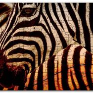 Cakapuzzle Günbatımında Zebra Desenleri Yakın Çekim Mdf 120 Parça Puzzle