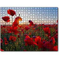 Cakapuzzle Gündoğumu Çayırda Kırmızı Gelincikler Mdf 120 Parça Puzzle