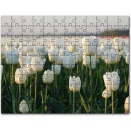 Cakapuzzle Gündoğumunda Beyaz Laleler Mdf 120 Parça Puzzle