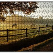 Cakapuzzle Gündoğumunda Sisler ve Otlayan Atlar Mdf 1000 Parça Puzzle