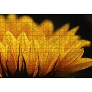 Cakapuzzle Günebakan Çiçeği Makro Çekim 120 Parça Ahşap Puzzle