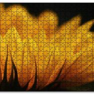 Cakapuzzle Günebakan Çiçeği Makro Çekim Mdf 500 Parça Puzzle