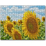Cakapuzzle Günebakan Çiçekleri Ahşap 1000 Parça Puzzle