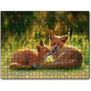 Cakapuzzle Güneşlenen İki Kızıl Tilki Görseli Mdf 1000 Parça Puzzle
