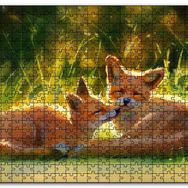 Cakapuzzle Güneşlenen İki Kızıl Tilki Görseli Mdf 500 Parça Puzzle