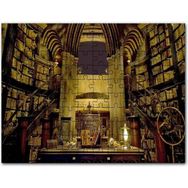 Cakapuzzle Harry Potter Kütüphane Gizli Çömlekçi Cadı Mdf 1000 Parça Puzzle