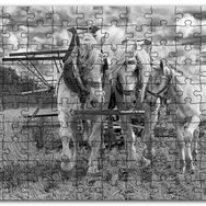 Cakapuzzle Hasat Yapan İki At ve Yanlarındaki Tay Monokrom Mdf 1000 Parça Puzzle