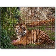 Cakapuzzle Hayvanat Bahçesinde Kaplan Mdf 120 Parça Puzzle