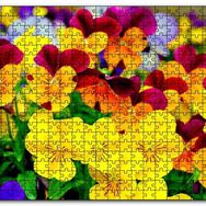 Cakapuzzle Hercai Menekşe Renkli Yaprakları Görsel Mdf 500 Parça Puzzle