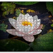 Cakapuzzle Hint Lotusu Su Üzerinde Görsel Mdf 1000 Parça Puzzle