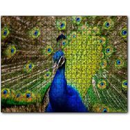 Cakapuzzle Hint Tavuskuşu Mdf 120 Parça Puzzle