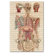 Cakapuzzle İç Organlar İnsan Anatomisi Görseli Ahşap 1000 Parça Puzzle