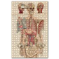 Cakapuzzle İç Organlar İnsan Anatomisi Görseli Ahşap 500 Parça Puzzle