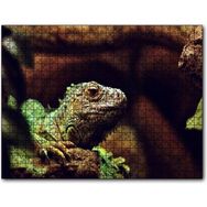 Cakapuzzle Iguana Yakın Plan Flu Arkaplan 255 Parça Puzzle