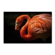 Cakapuzzle İhtiyar Flamingo Karanlık Arkaplan 120 Parça Puzzle