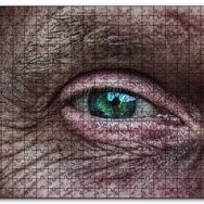 Cakapuzzle İhtiyarın Gözü Ahşap 1000 Parça Puzzle
