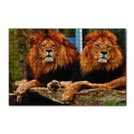 Cakapuzzle İki Aslan 120 Parça Puzzle