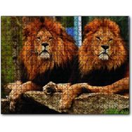 Cakapuzzle Iki Aslan 255 Parça Yapboz Mdf Puzzle
