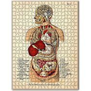 Cakapuzzle İnsan Vücudu Haritası Eski 120 Parça Ahşap Puzzle