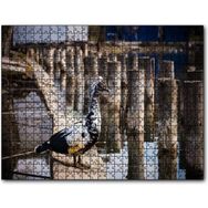 Cakapuzzle Iskele Direkleri Arasındaki Kuş 255 Parça Yapboz Mdf Puzzle