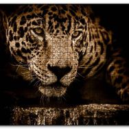 Cakapuzzle Jaguar Pusuda Yakın Plan Mdf 120 Parça Puzzle