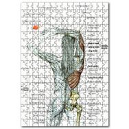 Cakapuzzle Kadın Anatomisi Kas Haritası Mdf 1000 Parça Puzzle