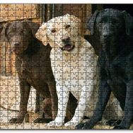 Cakapuzzle Kahve Krem ve Siyah Labradorlar Mdf 1000 Parça Puzzle