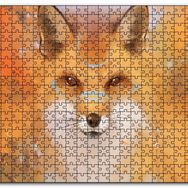 Cakapuzzle Kahverengi Beyaz Tilki ve Arkaplanda Ağaçlar Mdf 1000 Parça Puzzle