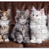 Cakapuzzle Kahverengi Deri Koltukta Sevimli 4 Kedi Mdf 255 Parça Puzzle
