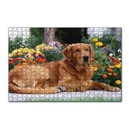 Cakapuzzle Kahverengi Golden Rertriever ve Çiçekler 255 Parça Puzzle