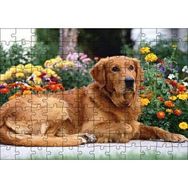 Cakapuzzle Kahverengi Golden Rertriever ve Çiçekler Mdf 120 Parça Puzzle