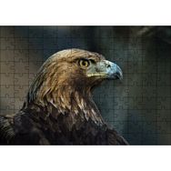 Cakapuzzle Kahverengi Kartal Mavi Gagalı 255 Parça Puzzle