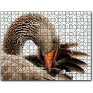 Cakapuzzle Kanadını Temizleyen Kahverengi Kaz Görseli Mdf 1000 Parça Puzzle
