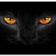 Cakapuzzle Kara Kedi ve Sarı Gözleri Mdf 500 Parça Puzzle